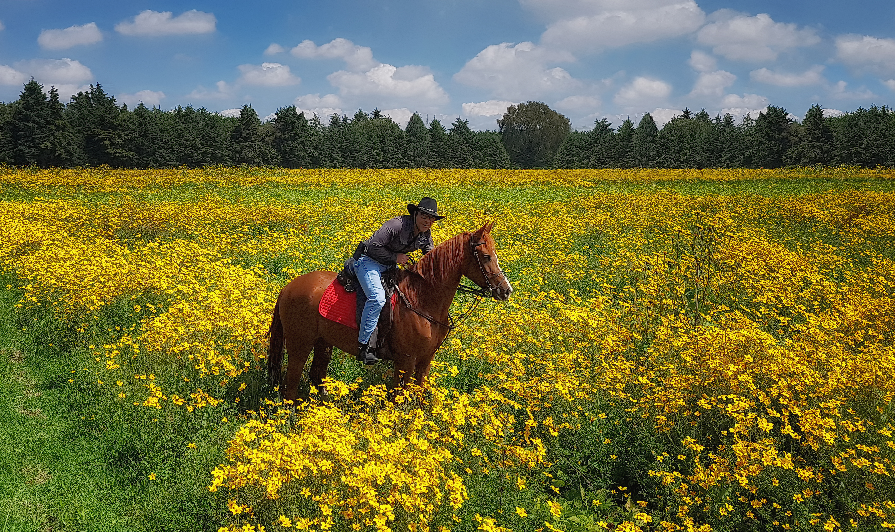 20171008_120234 ps tp 2