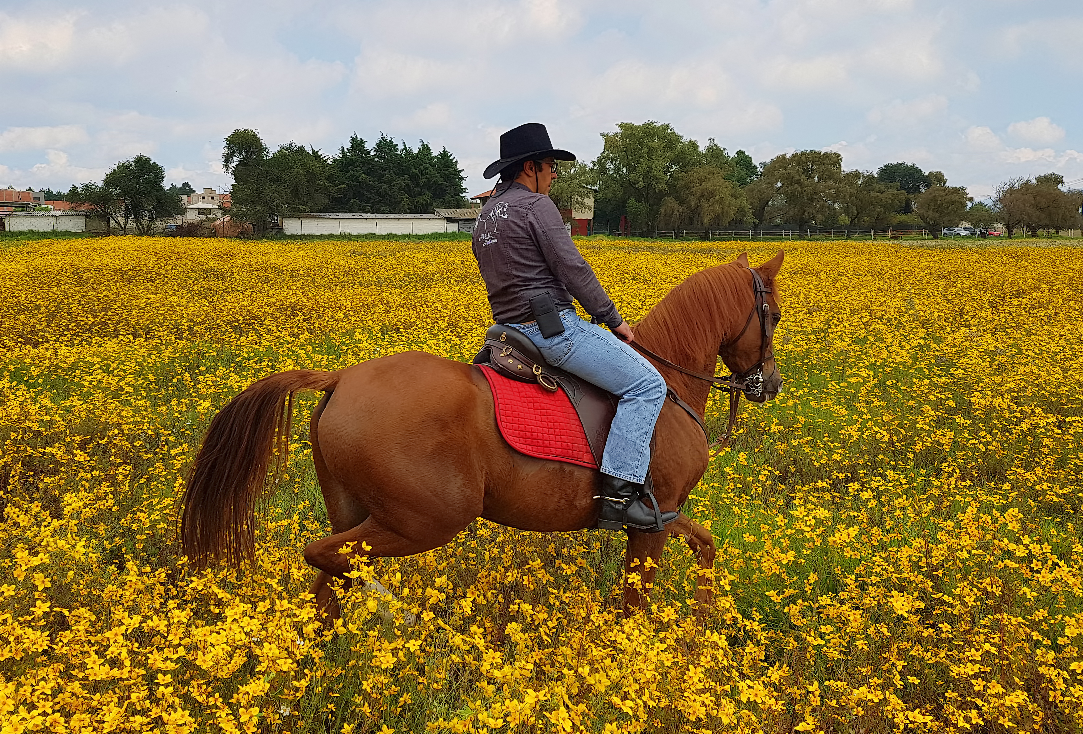 20171008_130352 ps tp