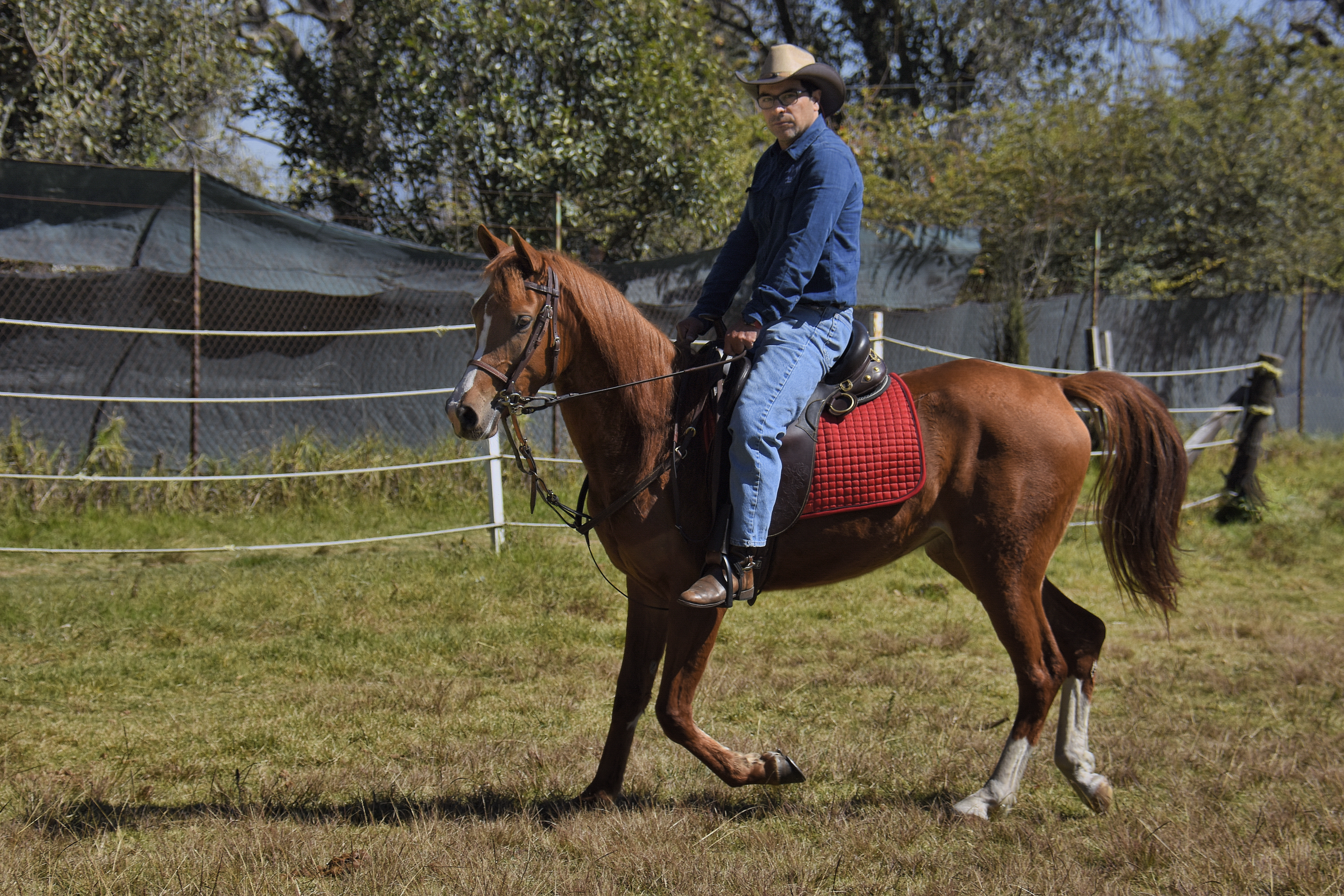 _dsc0333-a-ps-tp-a-ps