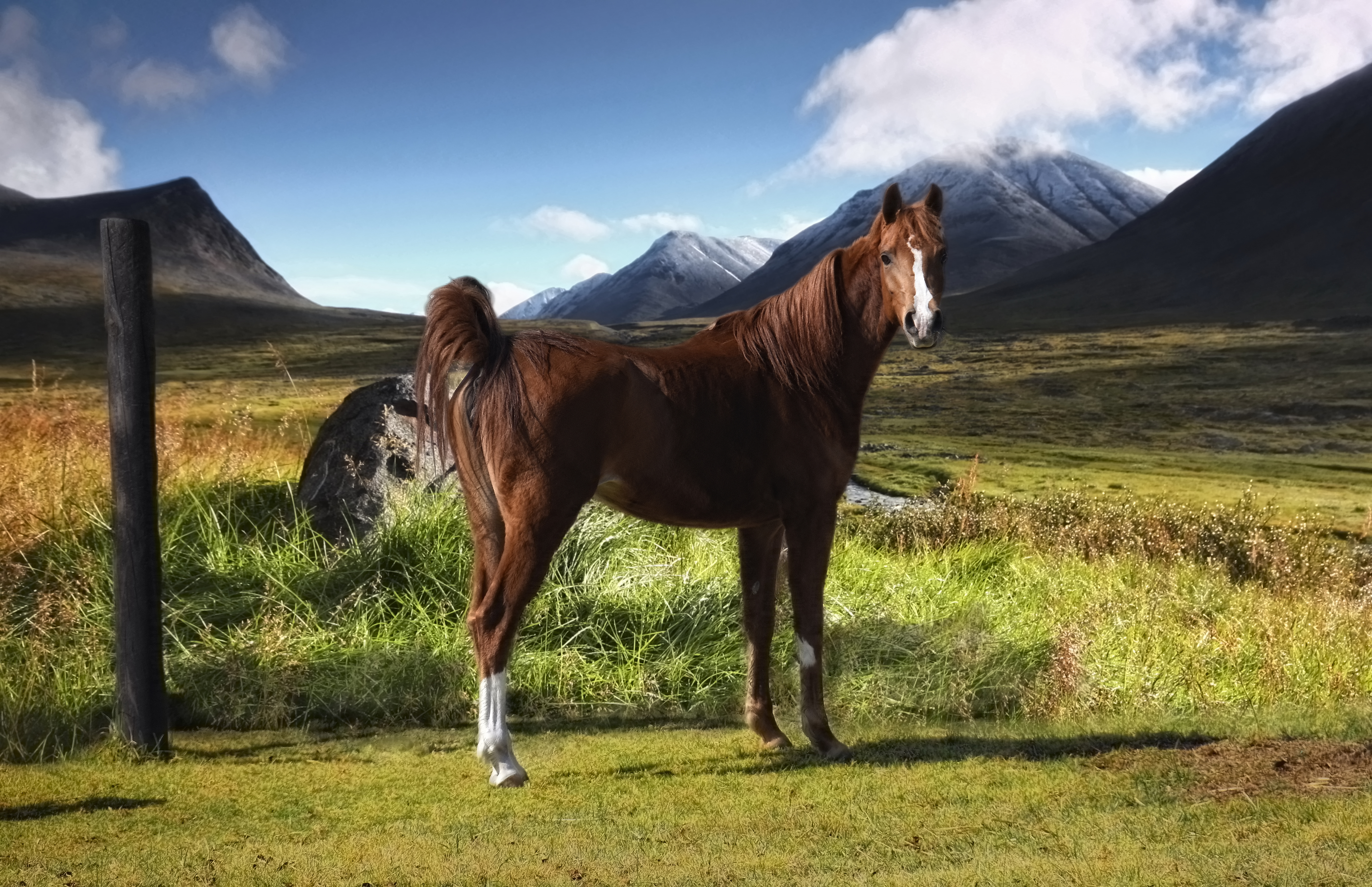 _dsc1234-ps-tp-2-b-ps