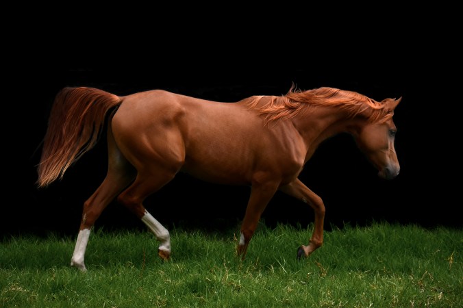 _DSC2091 PS a-Edit-2 c PS