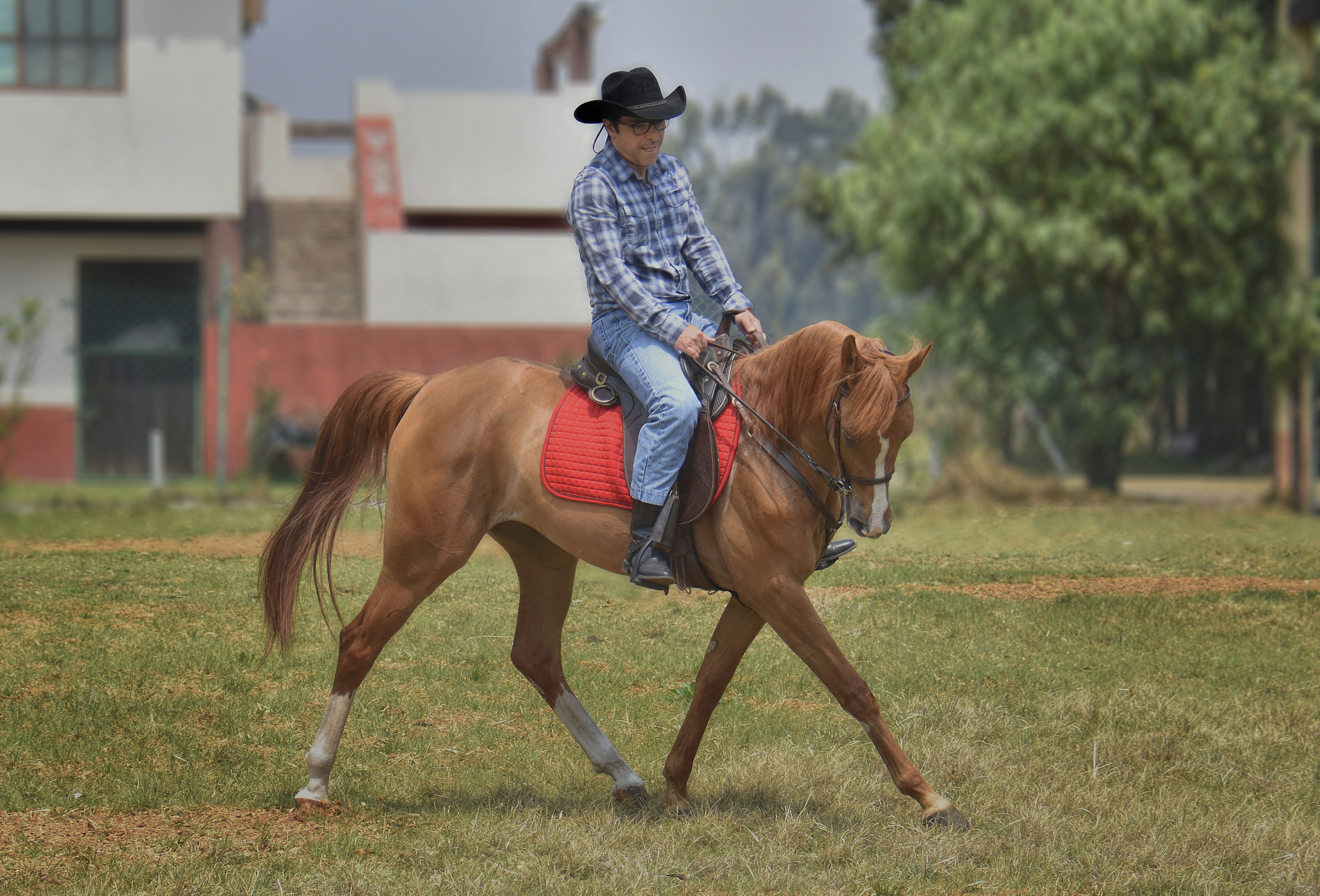 _DSC3451 ps tp a - copia