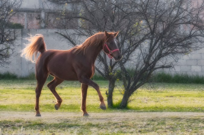 _DSC4095-Edit-Edit a