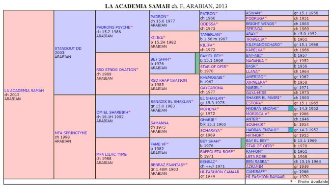 Pedigree Samah mas generaciones