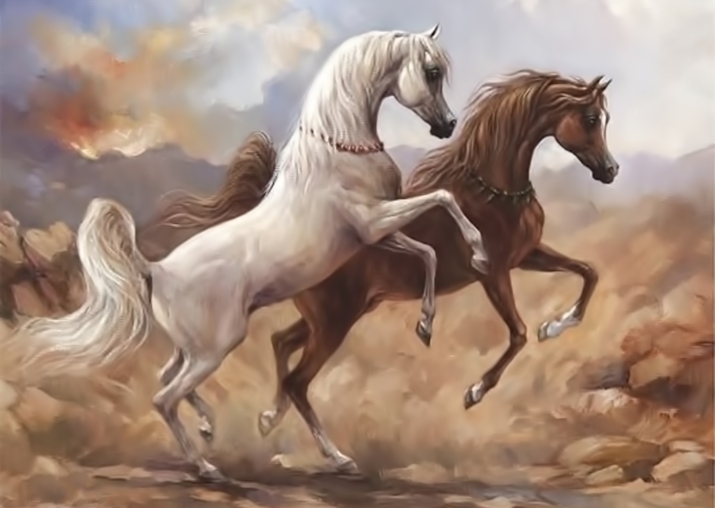 Arabian horses in Desert