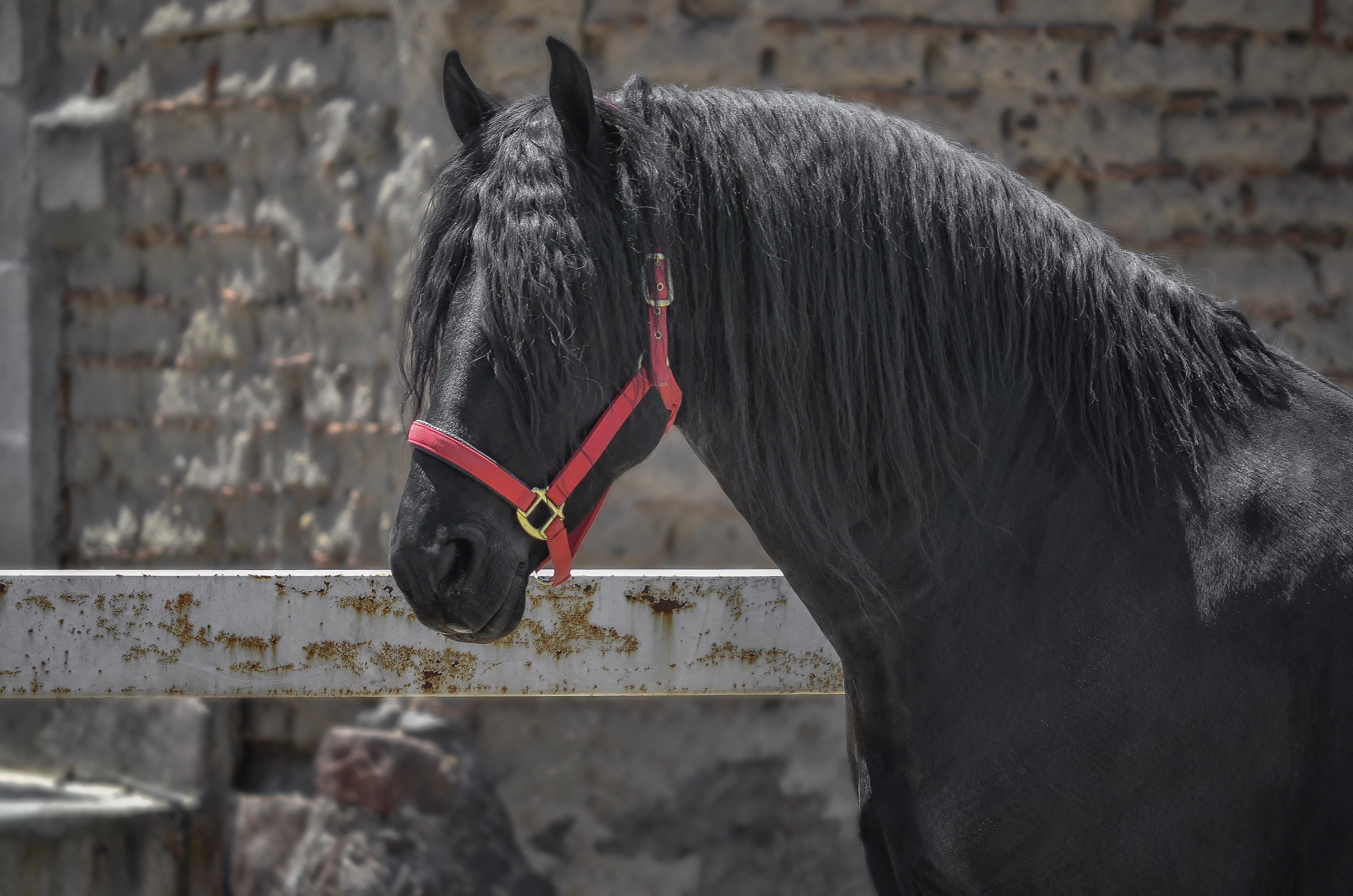 _DSC1493 PS-Edit-Edit A